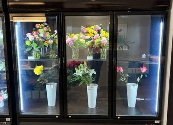 reach in floral cooler